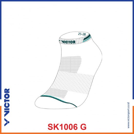 SK 1006 G ( L )